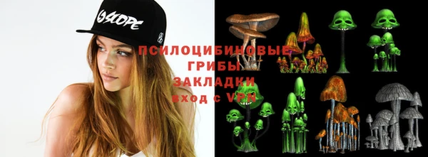 мяу мяу кристалл Алексин