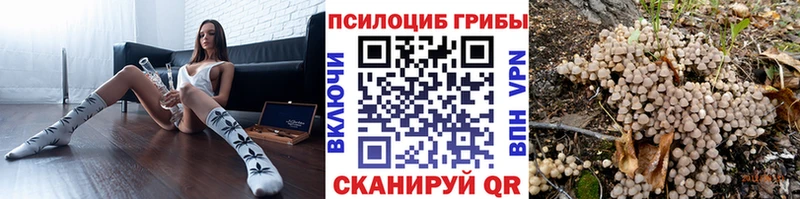 Псилоцибиновые грибы Magic Shrooms  Балашиха 